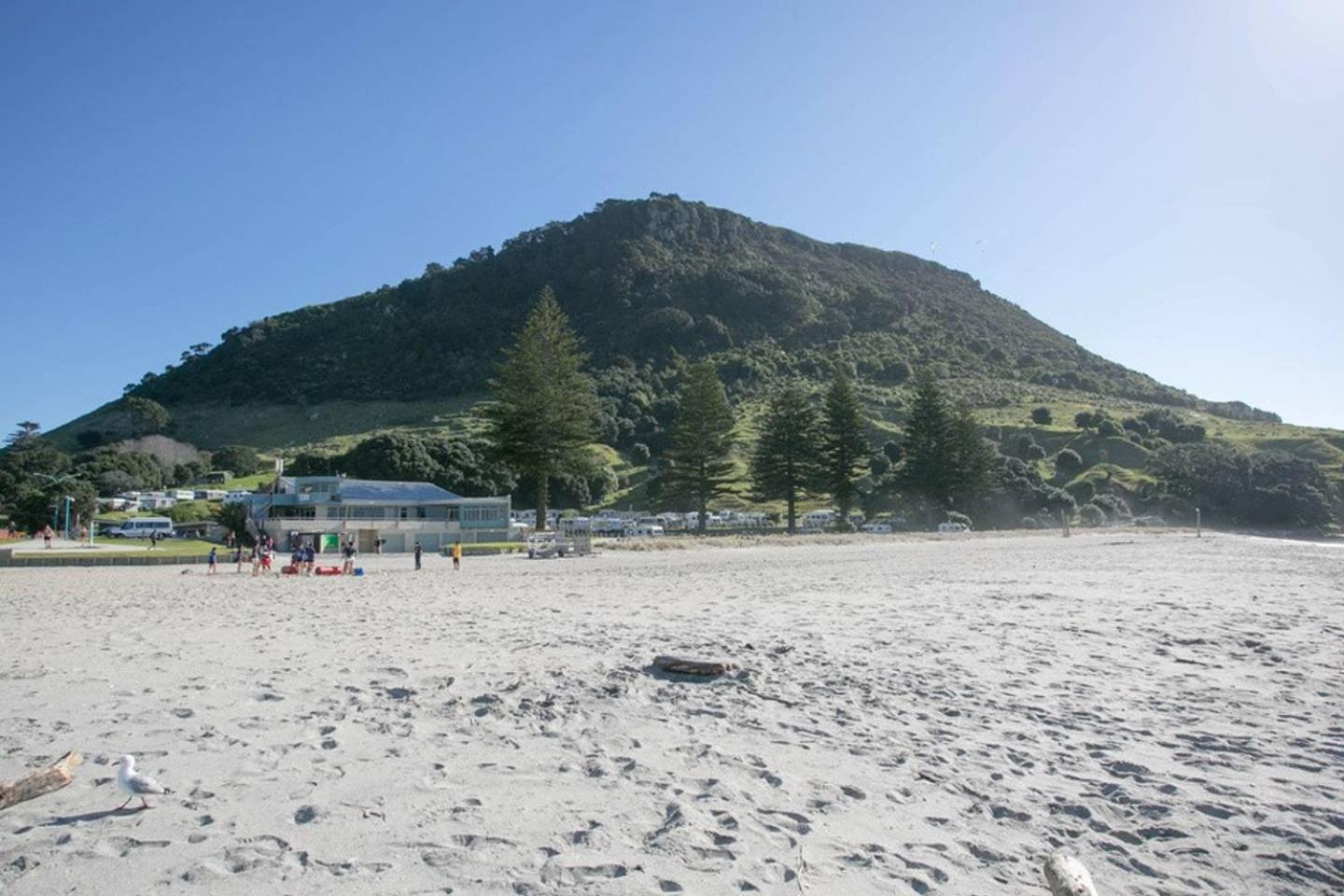 Luxury Ocean & Harbour Views - Heated Pool, Main Beach & Gym Mount Maunganui Kültér fotó